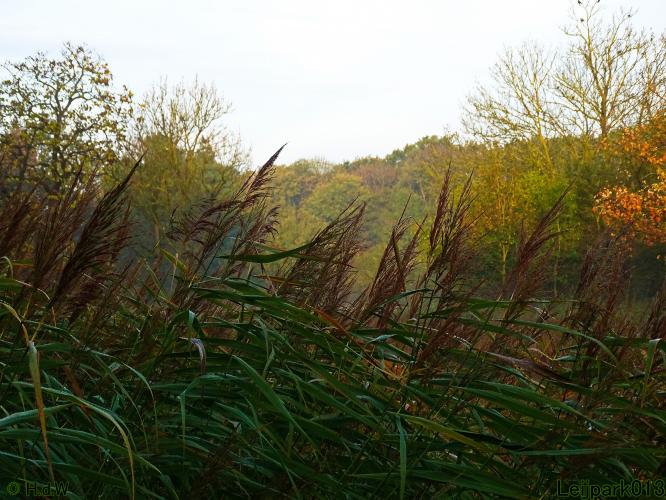 Leijpark013 3 &amp; 4 &amp; 5 &amp; 6 November 2022 