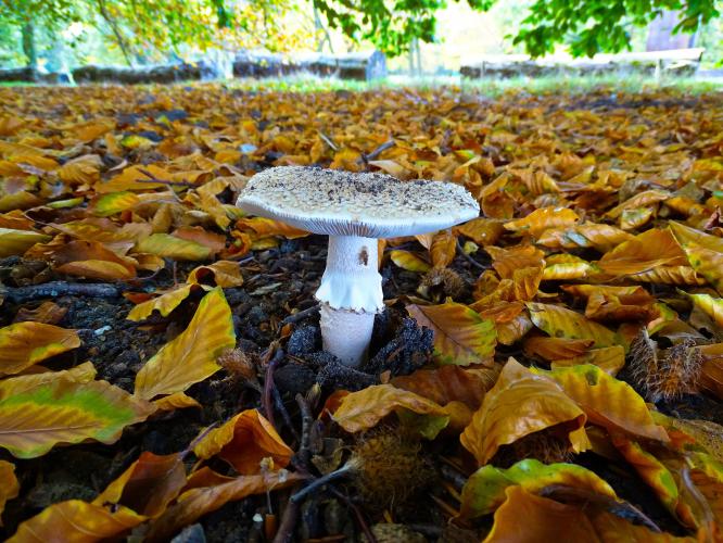 Leijpark013 3 &amp; 4 &amp; 5 &amp; 6 November 2022 