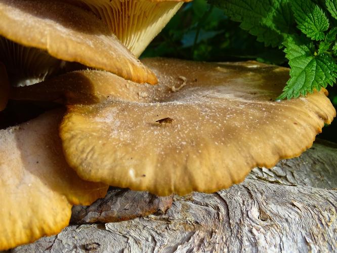 Leijpark013 3 &amp; 4 &amp; 5 &amp; 6 November 2022 