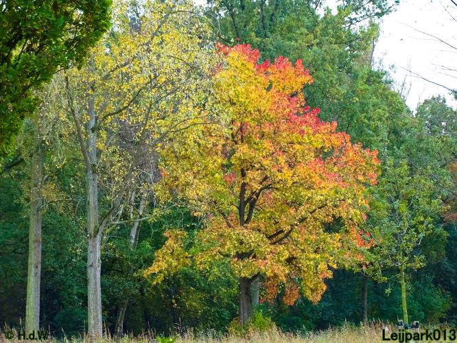 Leijpark013 3 &amp; 4 &amp; 5 &amp; 6 November 2022 