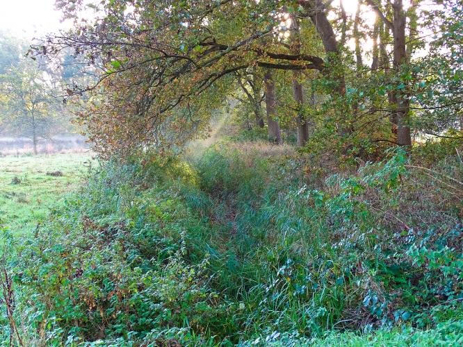 Leijpark013 3 &amp; 4 &amp; 5 &amp; 6 November 2022 