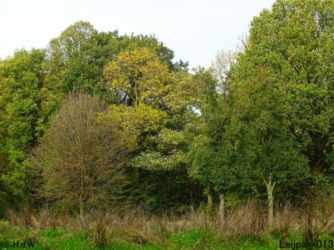 Leijpark013 3 &amp; 4 &amp; 5 &amp; 6 November 2022 