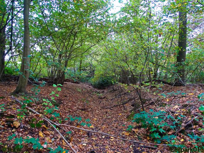 Leijpark013 3 &amp; 4 &amp; 5 &amp; 6 November 2022 