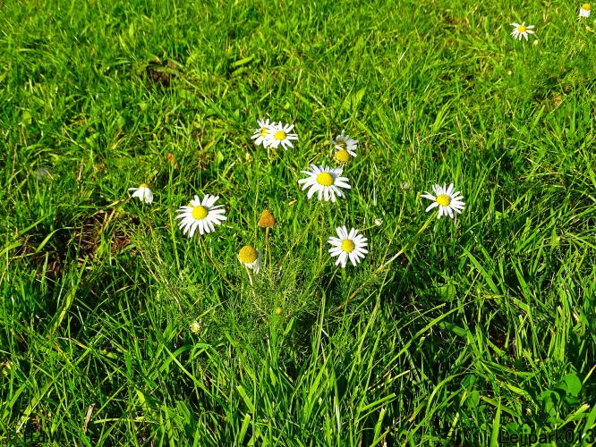 Leijpark013 3 &amp; 4 &amp; 5 &amp; 6 November 2022 