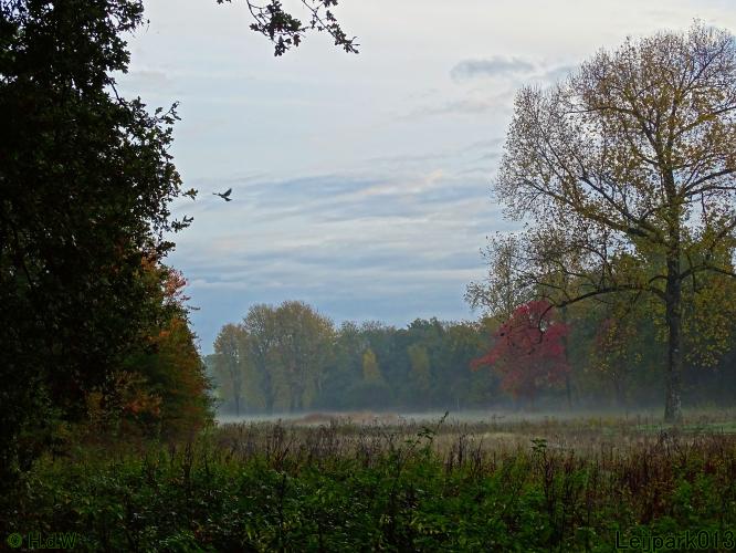 Leijpark013 3 &amp; 4 &amp; 5 &amp; 6 November 2022 