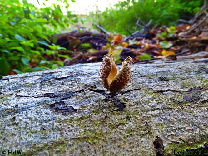 Leijpark013 3 &amp; 4 &amp; 5 &amp; 6 November 2022 