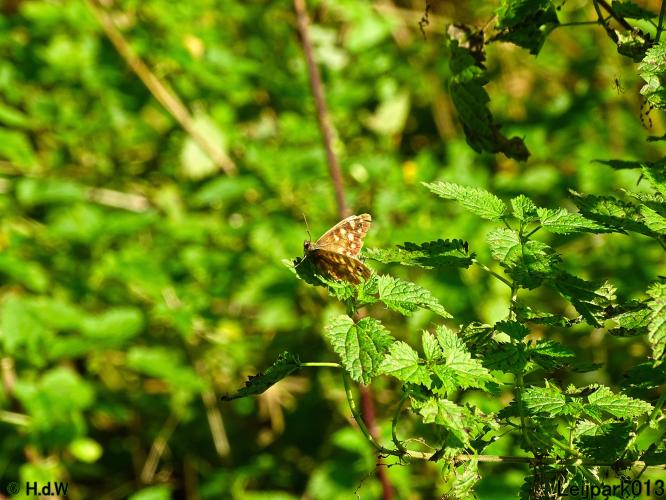 Leijpark013 3 &amp; 4 &amp; 5 &amp; 6 November 2022 