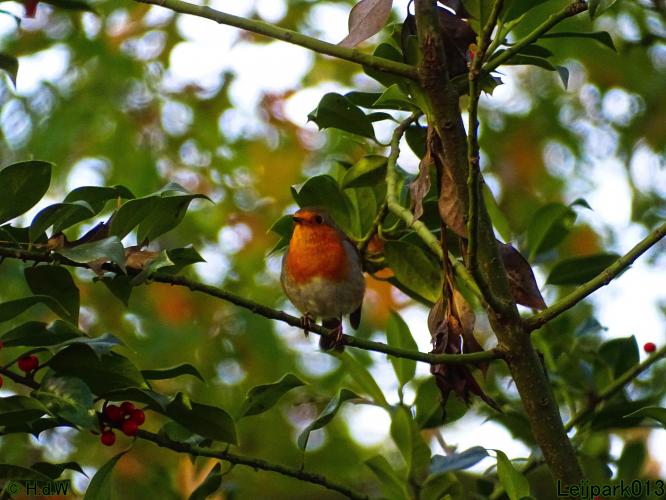 Leijpark013 3 &amp; 4 &amp; 5 &amp; 6 November 2022 