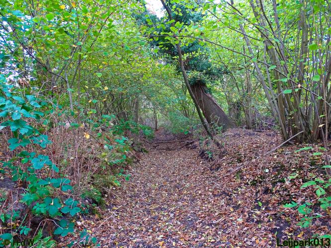 Leijpark013 3 &amp; 4 &amp; 5 &amp; 6 November 2022 