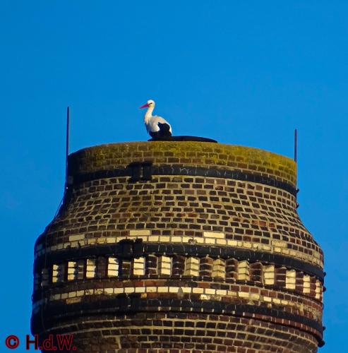 AaBe Tilburg 12 november 2022 