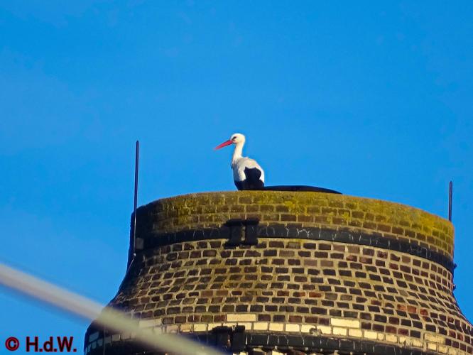 AaBe Tilburg 12 november 2022 