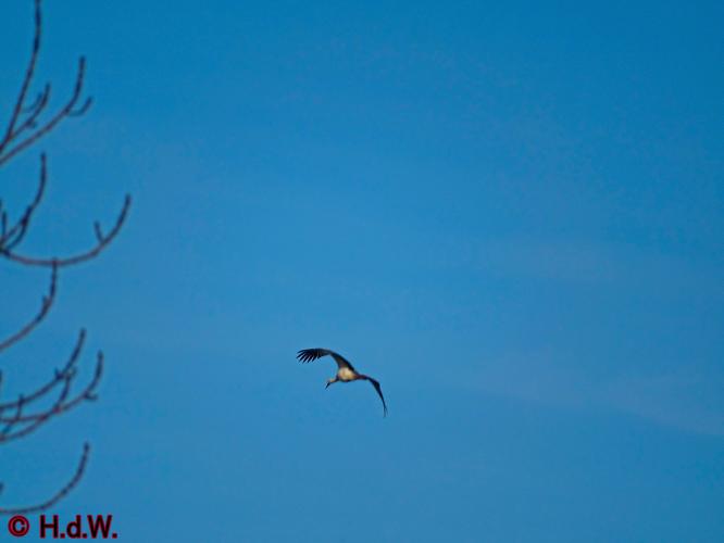 AaBe Tilburg 12 november 2022 