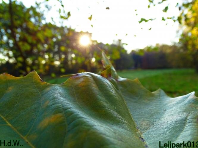 Leijpark013 19 &amp;20 &amp; 21 &amp; 22 november 2022