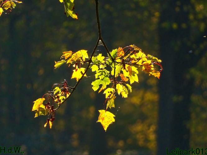 Leijpark013 19 &amp;20 &amp; 21 &amp; 22 november 2022