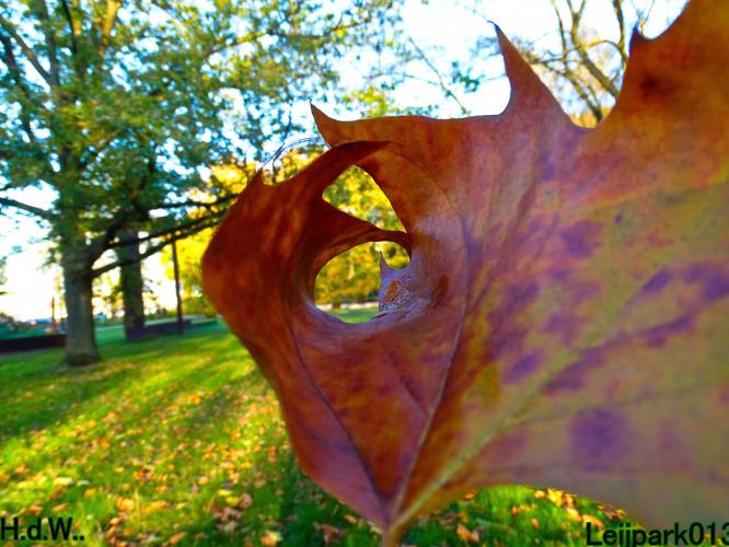 Leijpark013 19 &amp;20 &amp; 21 &amp; 22 november 2022