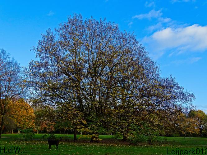 Leijpark013 19 &amp;20 &amp; 21 &amp; 22 november 2022