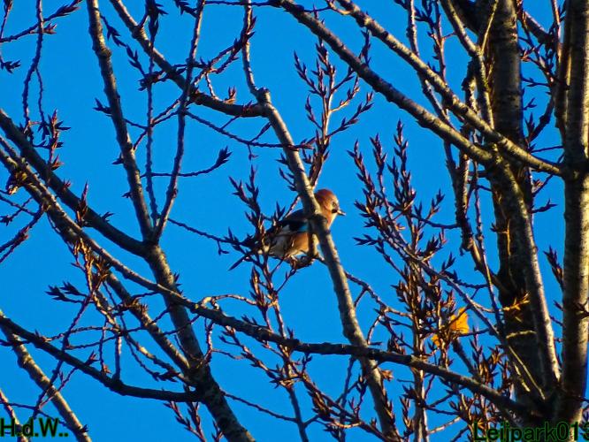 Leijpark013 19 &amp;20 &amp; 21 &amp; 22 november 2022