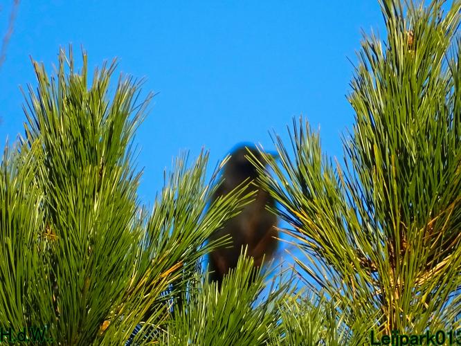 Leijpark013 19 &amp;20 &amp; 21 &amp; 22 november 2022