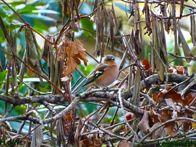 Leijpark013 19 &amp;20 &amp; 21 &amp; 22 november 2022