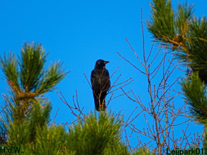 Leijpark013 19 &amp;20 &amp; 21 &amp; 22 november 2022