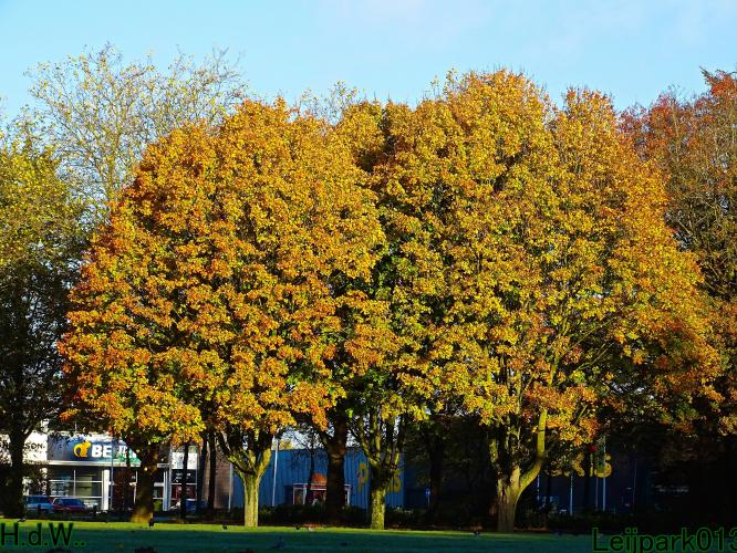 Leijpark013 19 &amp;20 &amp; 21 &amp; 22 november 2022