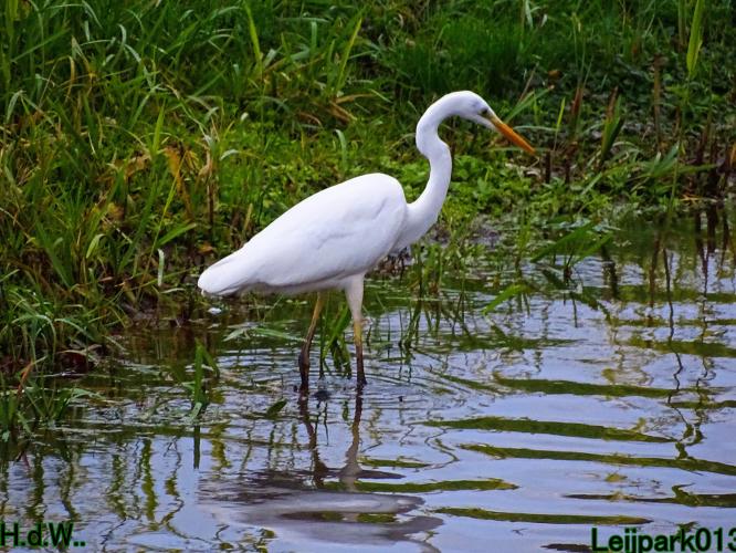 Leijpark013  27 &amp; 28 &amp; 29 &amp; 30 november 2022