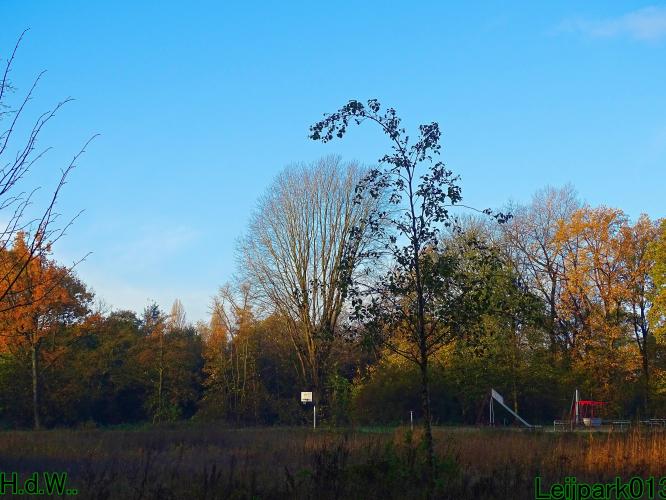 Leijpark013  27 &amp; 28 &amp; 29 &amp; 30 november 2022