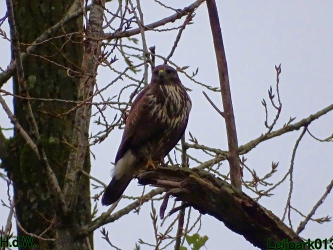 Leijpark013  27 &amp; 28 &amp; 29 &amp; 30 november 2022