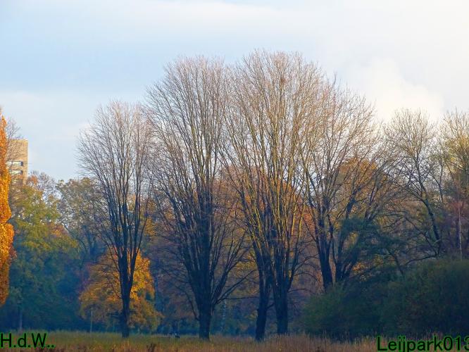 Leijpark013  27 &amp; 28 &amp; 29 &amp; 30 november 2022