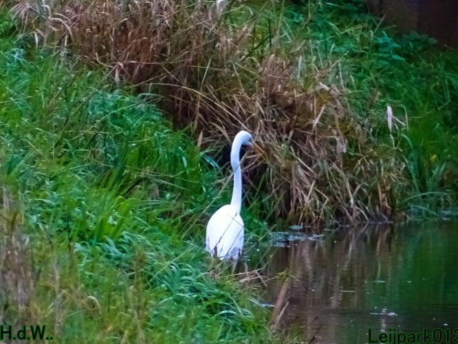 Leijpark013  27 &amp; 28 &amp; 29 &amp; 30 november 2022