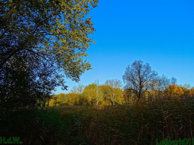 Leijpark013  27 &amp; 28 &amp; 29 &amp; 30 november 2022