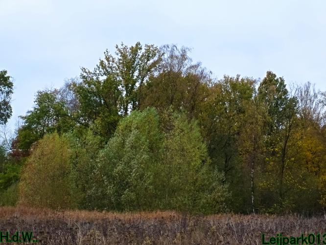 Leijpark013  27 &amp; 28 &amp; 29 &amp; 30 november 2022