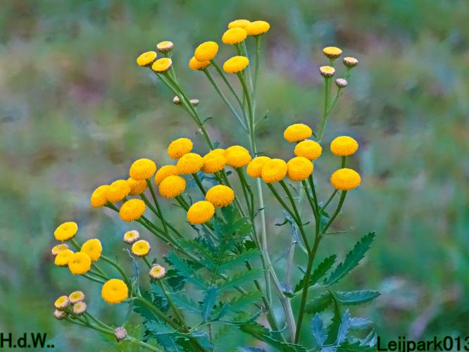 Leijpark013  27 &amp; 28 &amp; 29 &amp; 30 november 2022