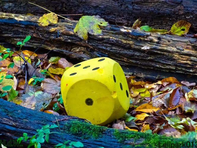 Leijpark013  27 &amp; 28 &amp; 29 &amp; 30 november 2022