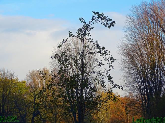 Leijpark013  27 &amp; 28 &amp; 29 &amp; 30 november 2022