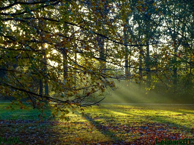 Leijpark013  27 &amp; 28 &amp; 29 &amp; 30 november 2022