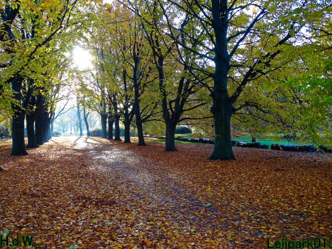 Leijpark013  27 &amp; 28 &amp; 29 &amp; 30 november 2022