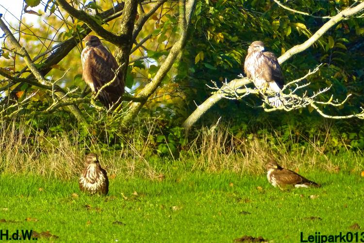 Leijpark013  1 &amp; 2 &amp; 3 &amp; 4 december 2022 