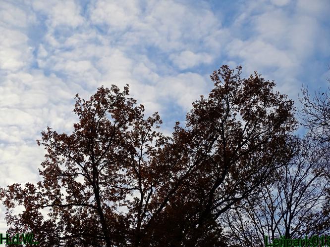 Leijpark013  1 &amp; 2 &amp; 3 &amp; 4 december 2022 