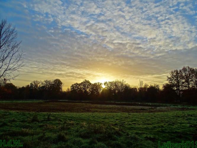 Leijpark013  1 &amp; 2 &amp; 3 &amp; 4 december 2022 