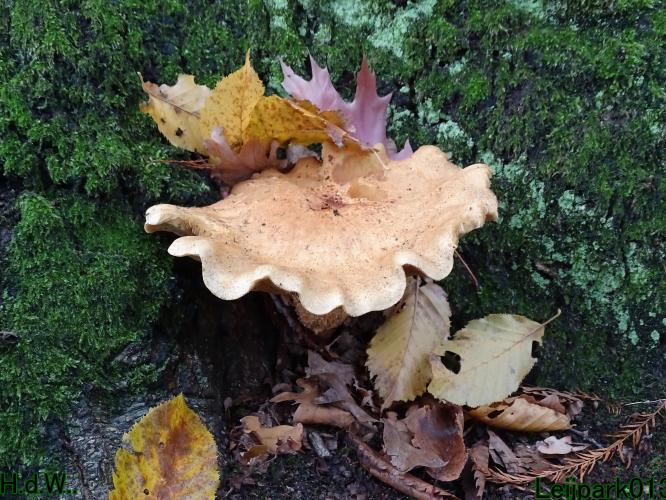 Leijpark013  1 &amp; 2 &amp; 3 &amp; 4 december 2022 