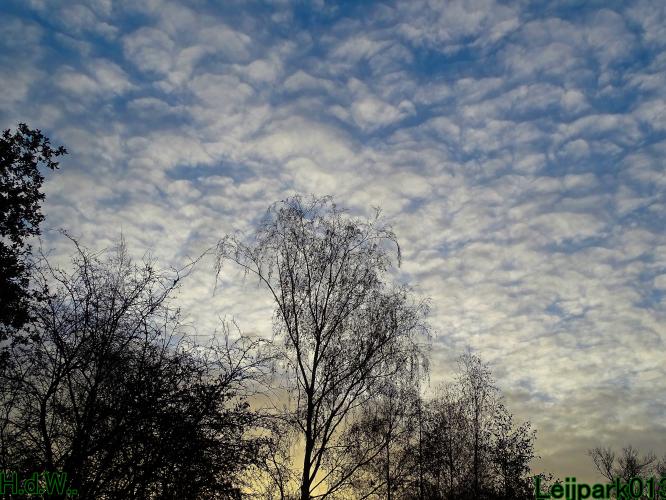 Leijpark013  1 &amp; 2 &amp; 3 &amp; 4 december 2022 