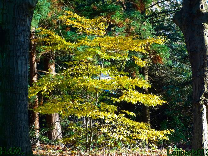 Leijpark013  1 &amp; 2 &amp; 3 &amp; 4 december 2022 