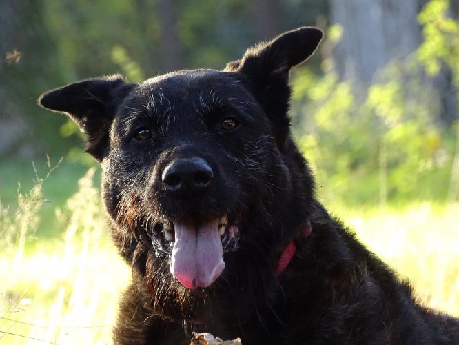 7 december 2022 Roos is vandaag 10 jaar 