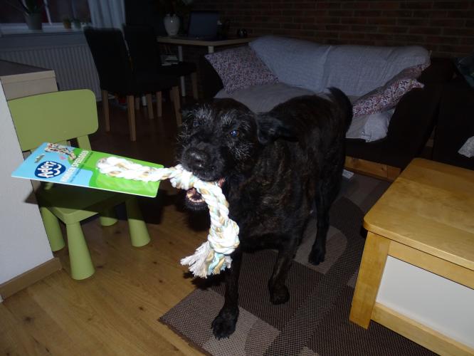 7 december 2022 Roos is vandaag 10 jaar 