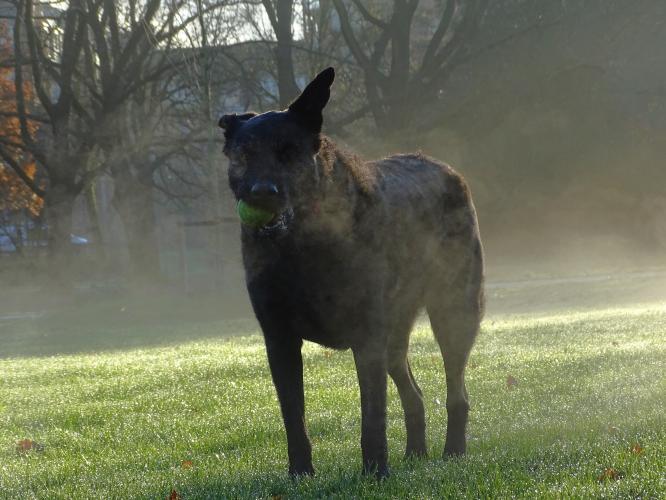7 december 2022 Roos is vandaag 10 jaar 