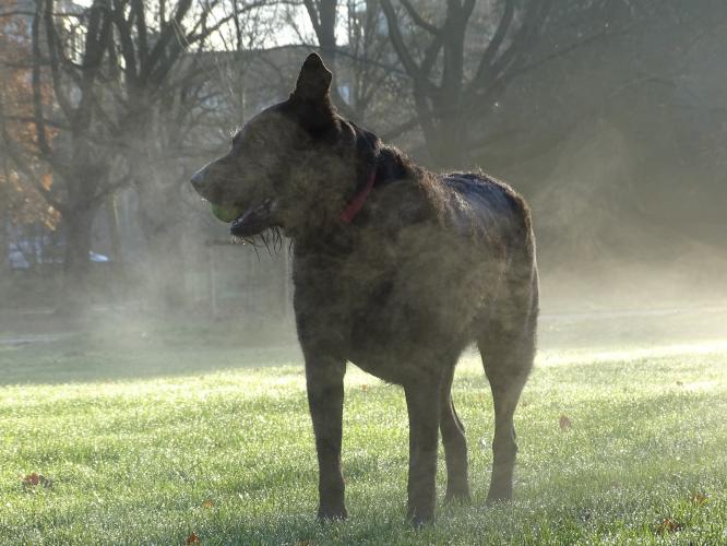 7 december 2022 Roos is vandaag 10 jaar 