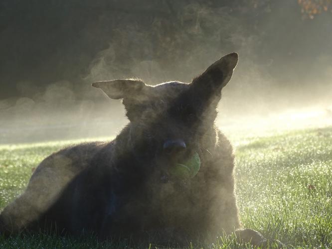 7 december 2022 Roos is vandaag 10 jaar 