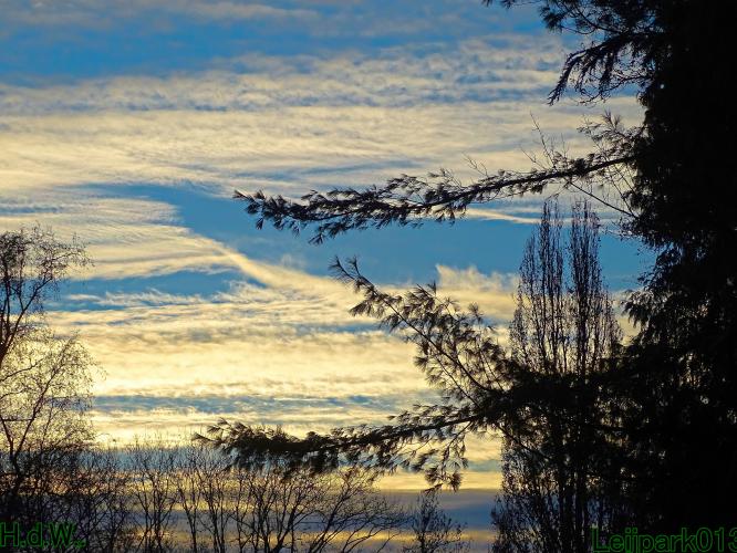 Leijpark013 21 &amp; 22 &amp; 23 &amp; 24 december 2022 