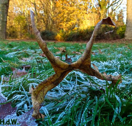 Leijpark013 21 &amp; 22 &amp; 23 &amp; 24 december 2022 